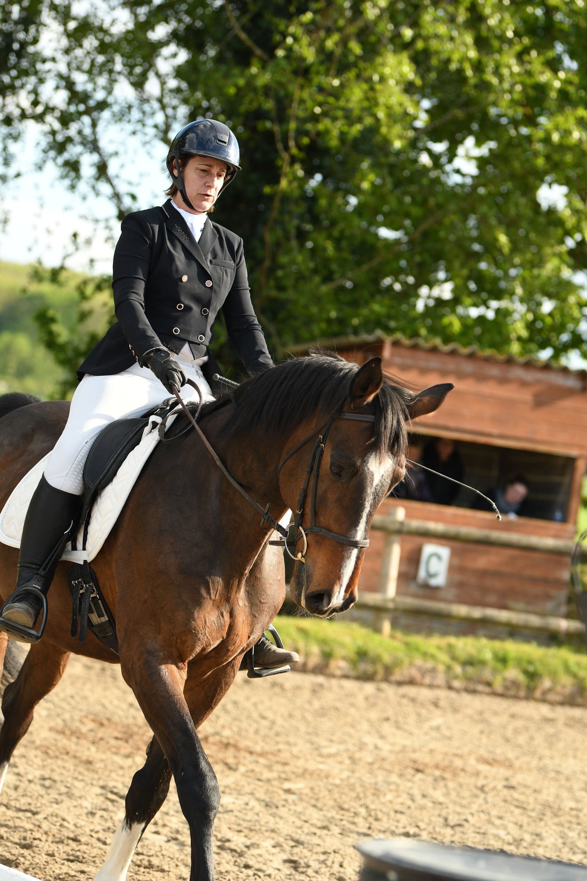 Cavalier en tenue de concours sur un cheval noir dans un manège extérieur, avec une écurie en arrière-plan.