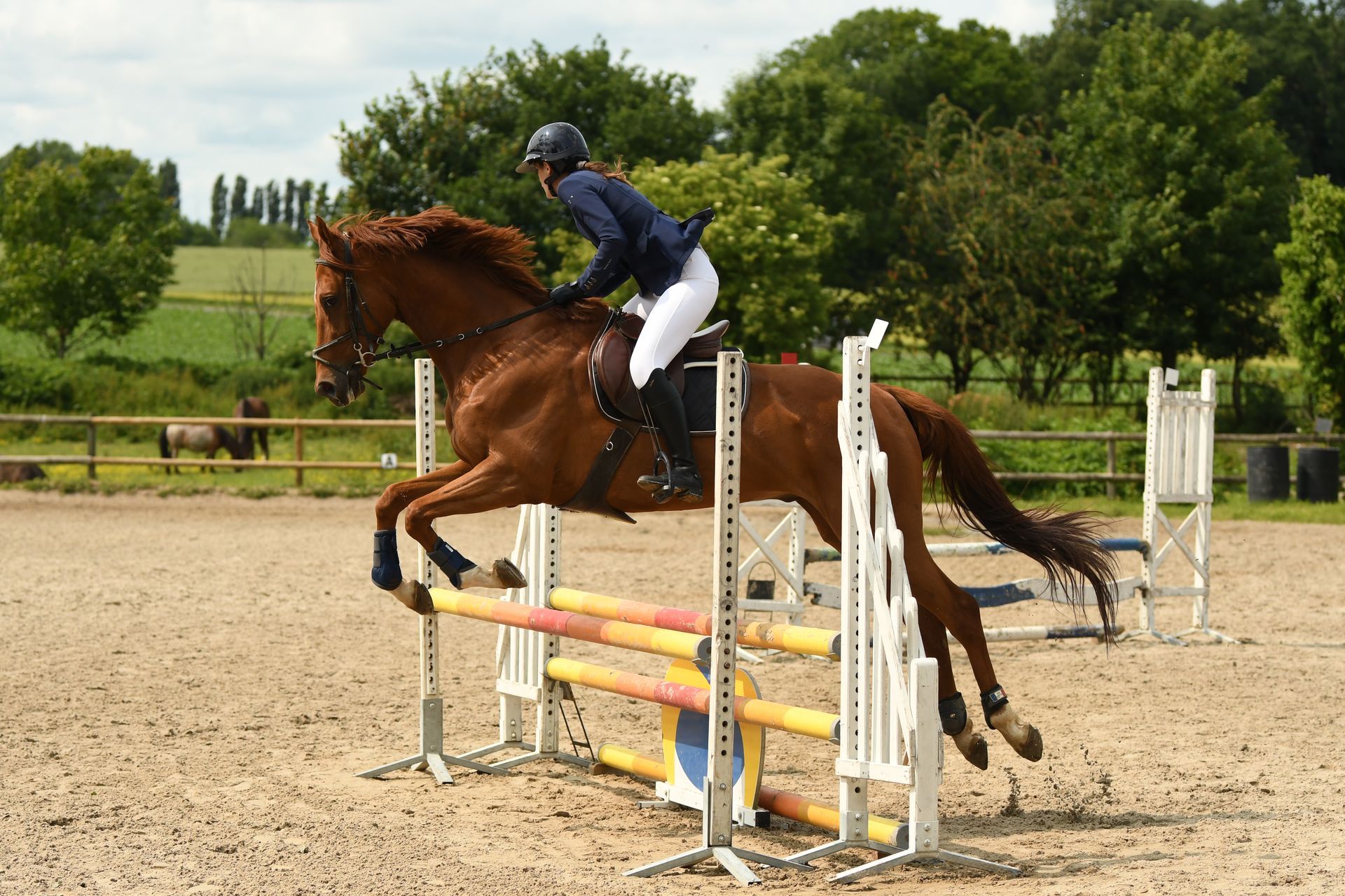 Cheval et cavalier franchissant un obstacle dans un manège de saut d'obstacles extérieur
