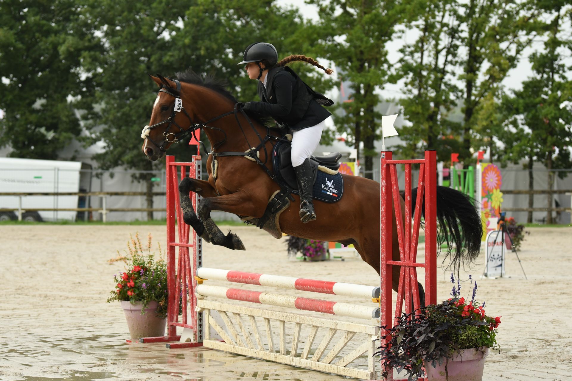 Cheval et cavalier franchissant un obstacle rouge et blanc dans une arène extérieure