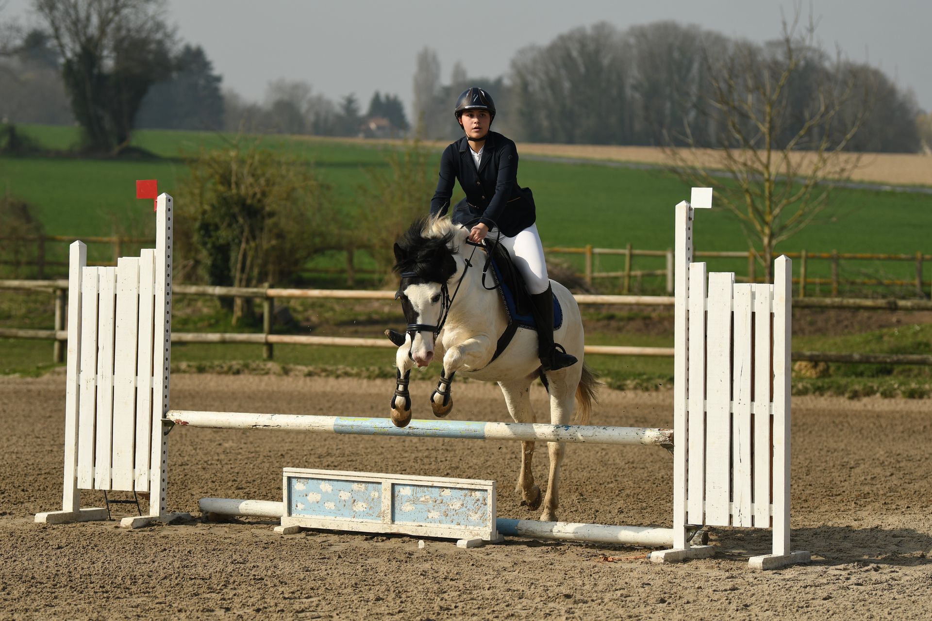 Cheval et cavalier sautant une clôture blanche dans un manège extérieur