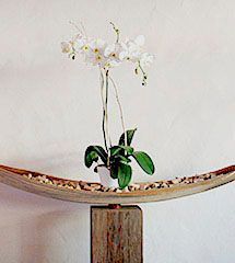 Gasthaus Engel Küssnacht