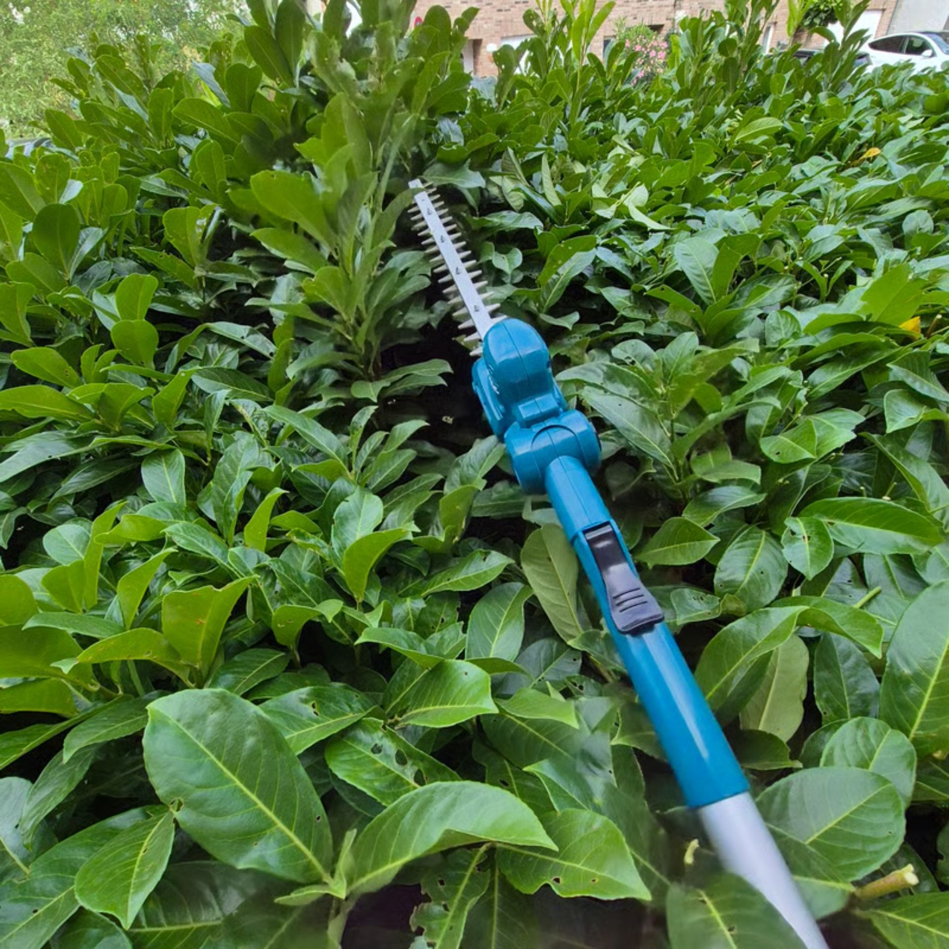 Heckenschere schneidet eine grüne Hecke im Freien. Blaugrünes und silbernes Werkzeug.