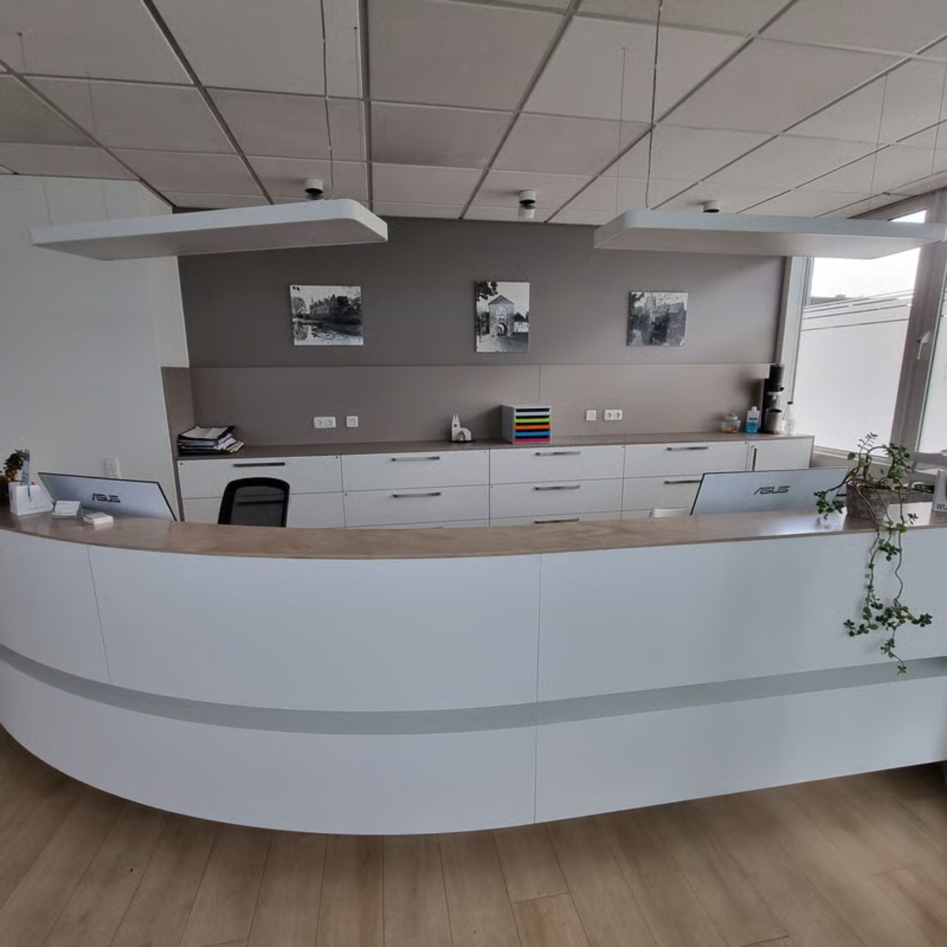 Empfangstresen mit geschwungener weißer Theke, grauer Wand und Deckenbeleuchtung.