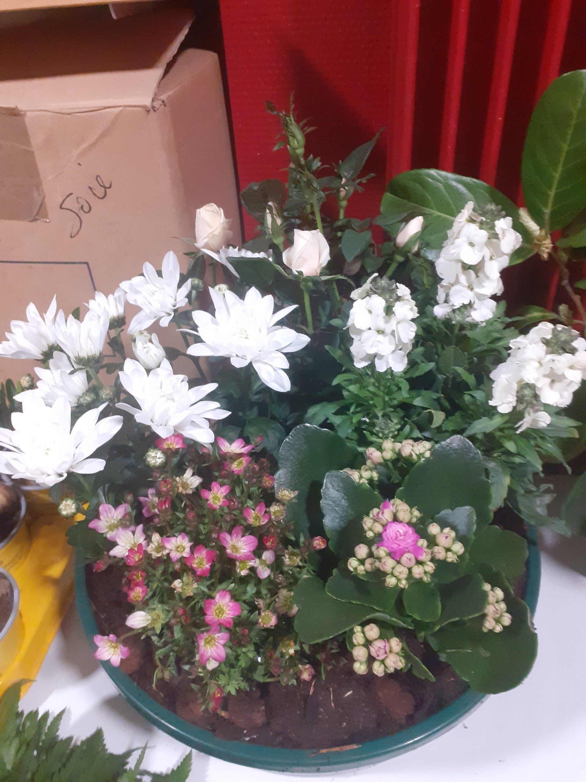 Composition florale et plante verte