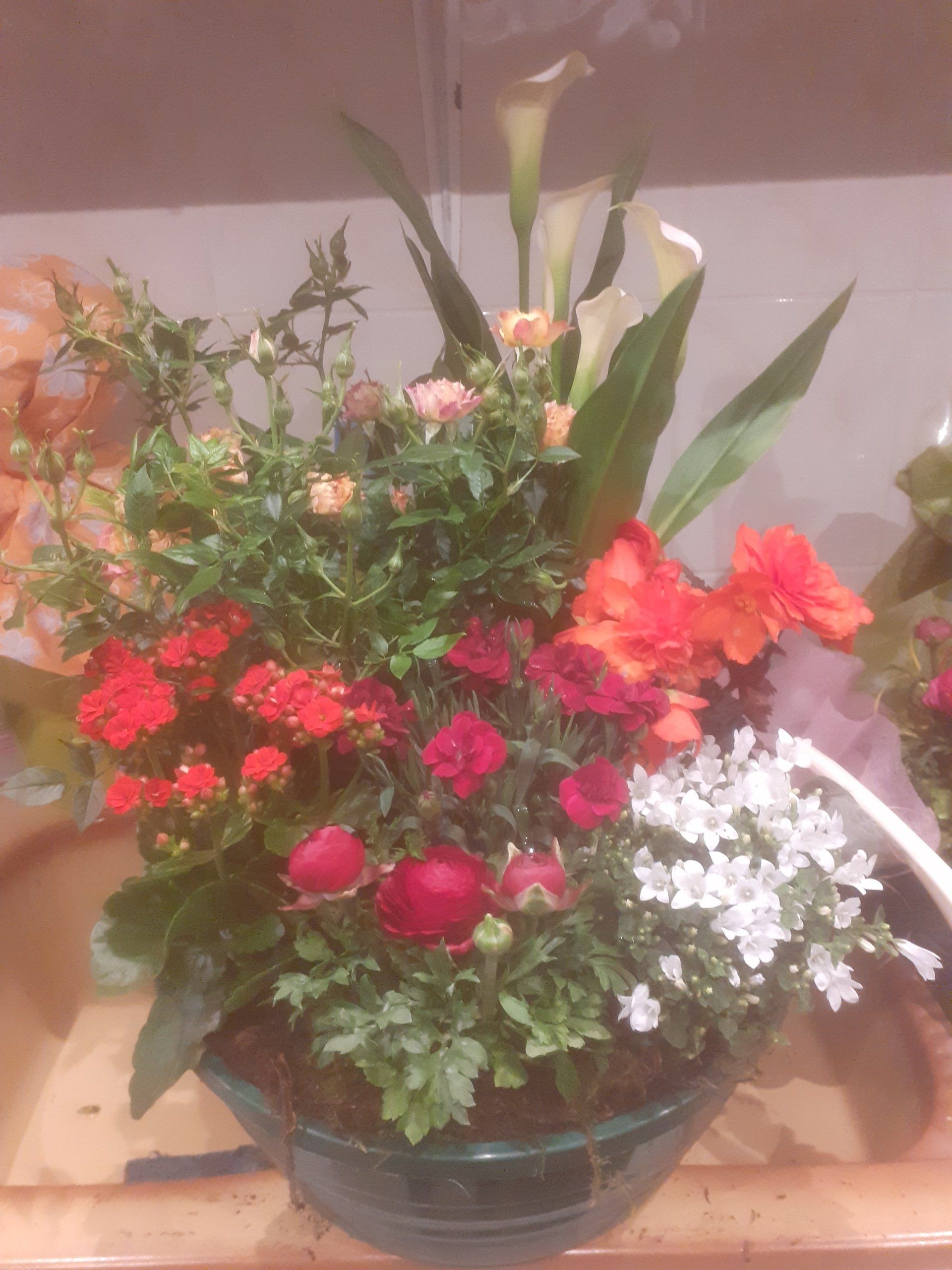 Composition de fleurs Duclair