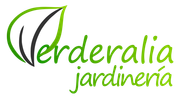 logotipo cabecera