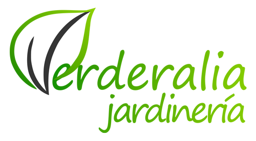 logotipo cabecera