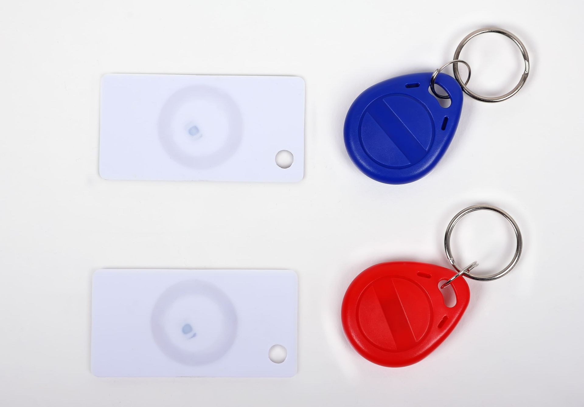 Llaveros blancos y de colores: dos llaveros rectangulares blancos y dos llaveros de colores, azul y rojo, con anillas.