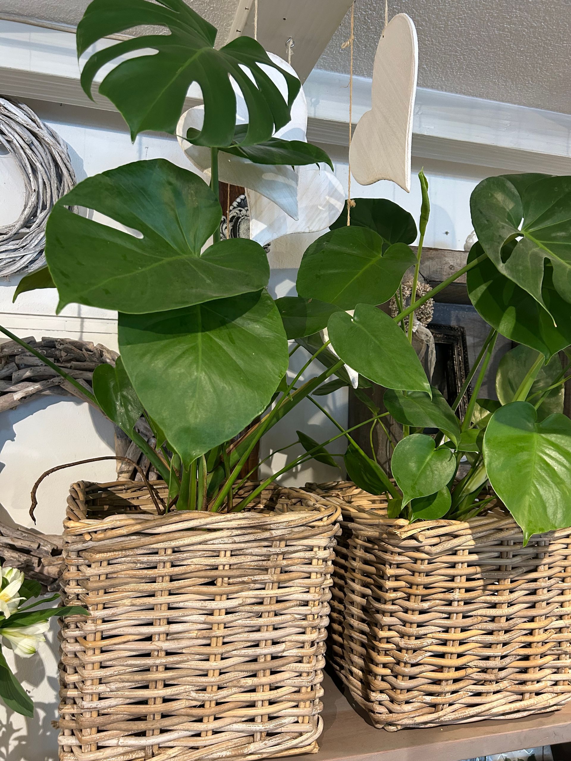 Zwei Frauen stehen nebeneinander und halten Tassen Kaffee.