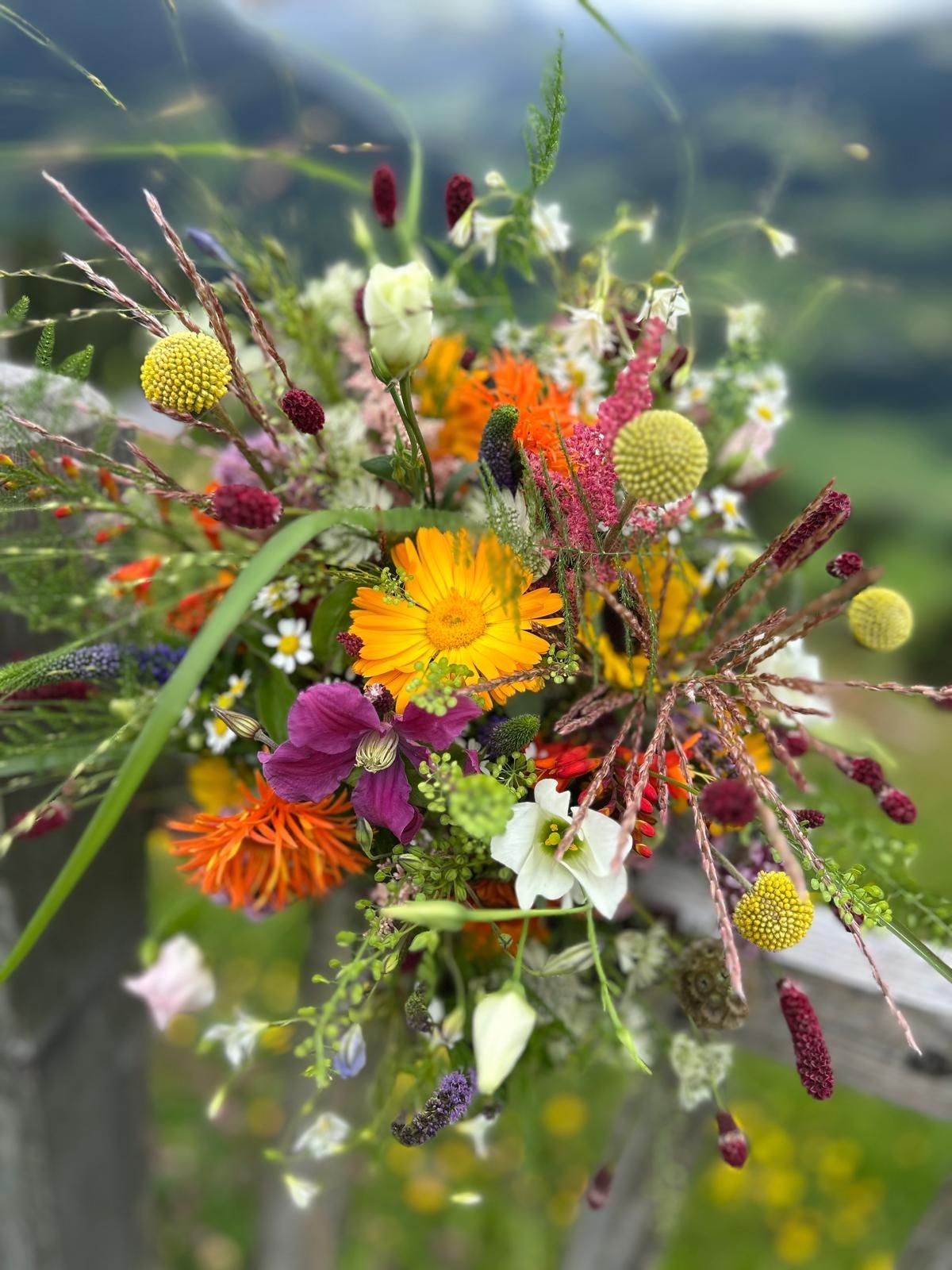 Ein Teller mit Croissants, aus einem davon wurde ein Biss herausgeschnitten, auf einem Holztisch.