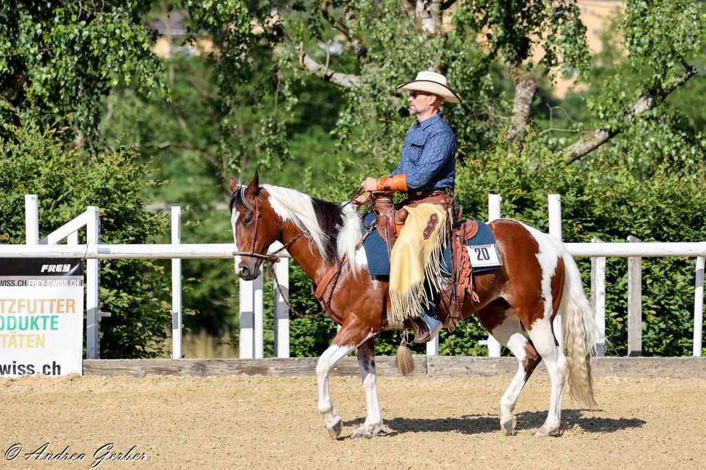 Swiss Ranch Horse Association - SRHA