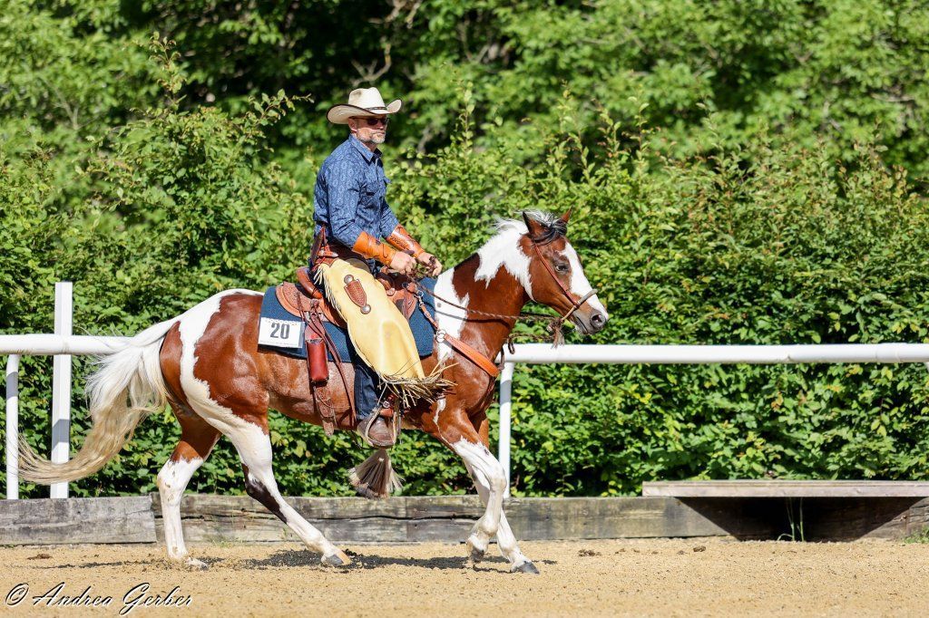 Swiss Ranch Horse Association - SRHA