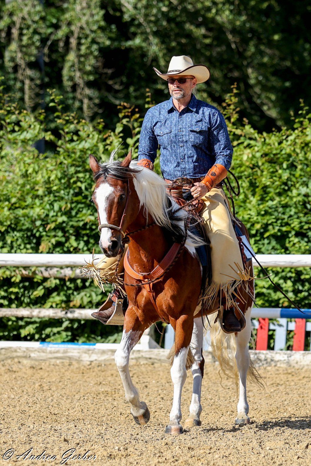 Swiss Ranch Horse Association - SRHA