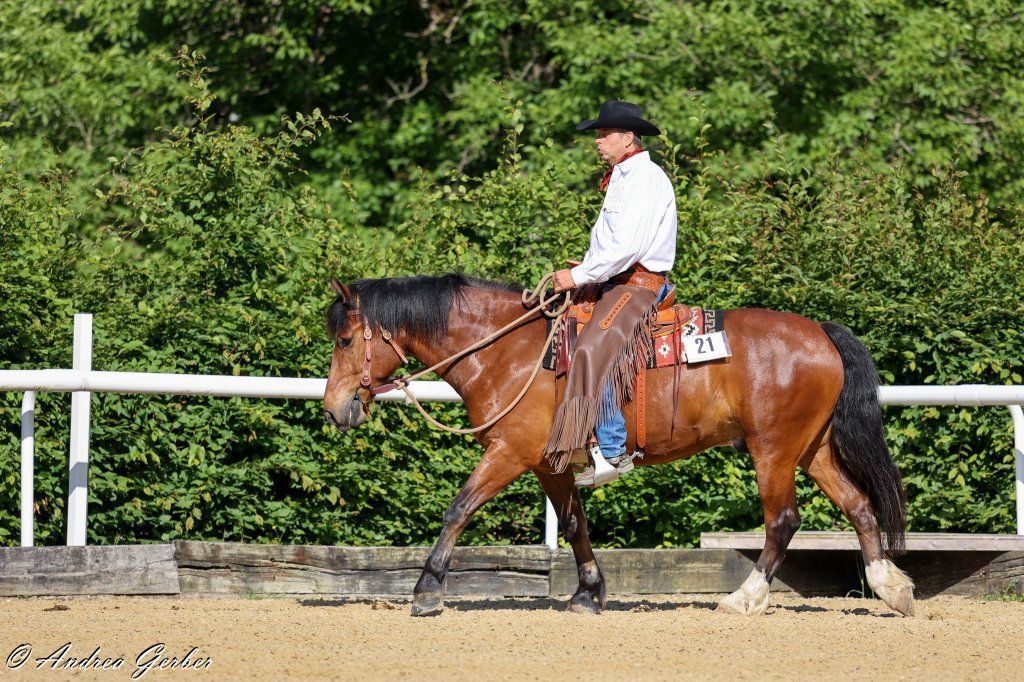 Swiss Ranch Horse Association - SRHA