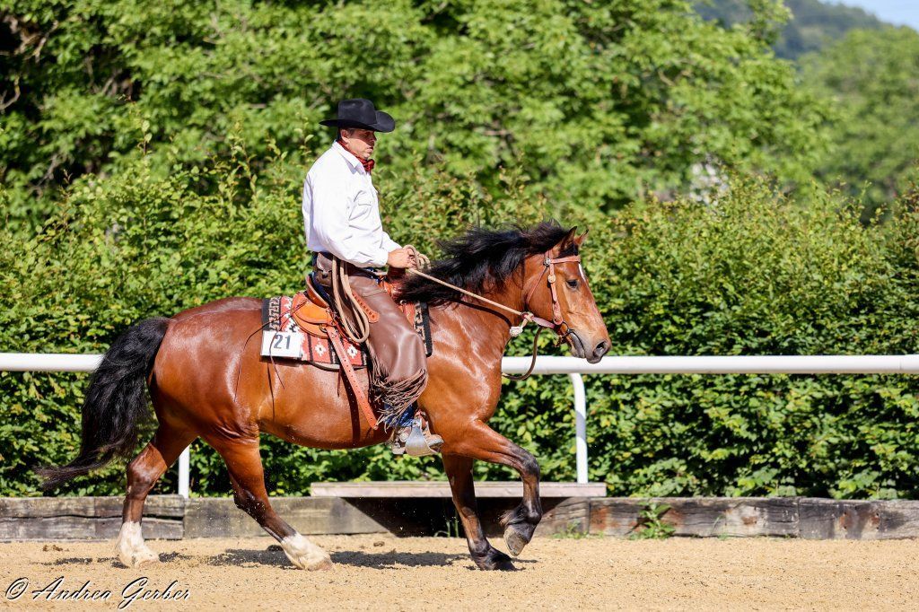 Swiss Ranch Horse Association - SRHA