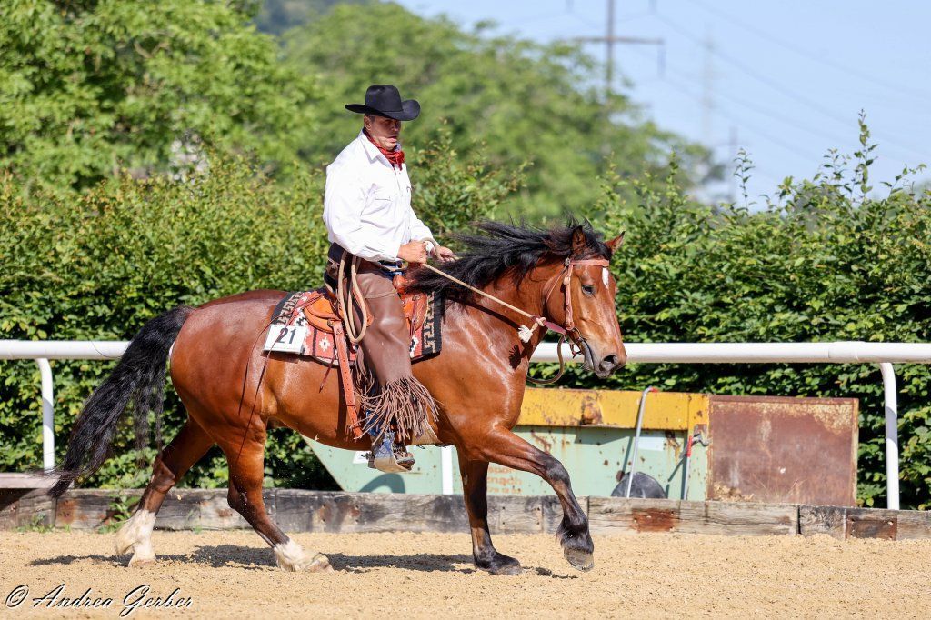 Swiss Ranch Horse Association - SRHA