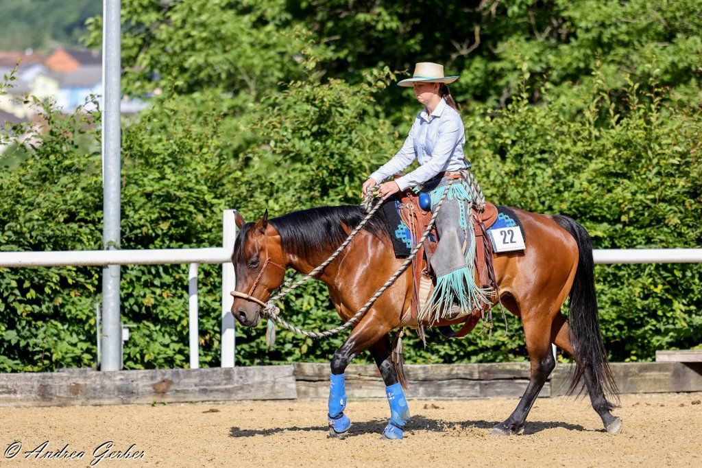 Swiss Ranch Horse Association - SRHA