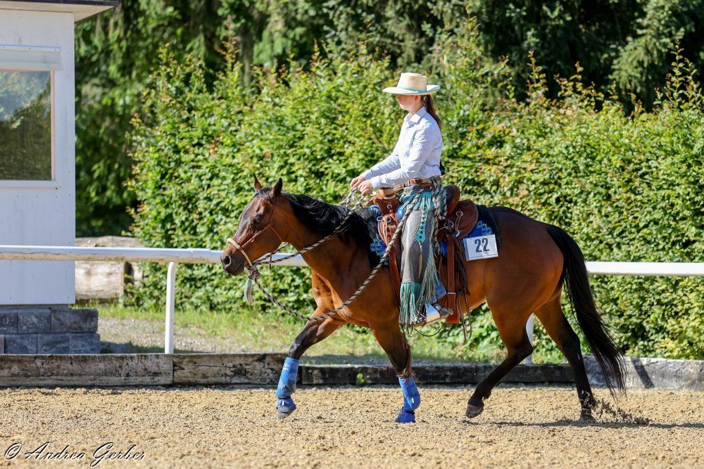 Swiss Ranch Horse Association - SRHA