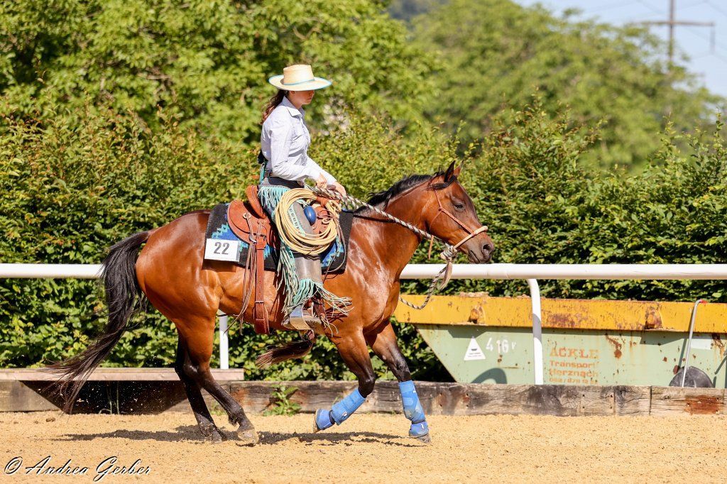 Swiss Ranch Horse Association - SRHA