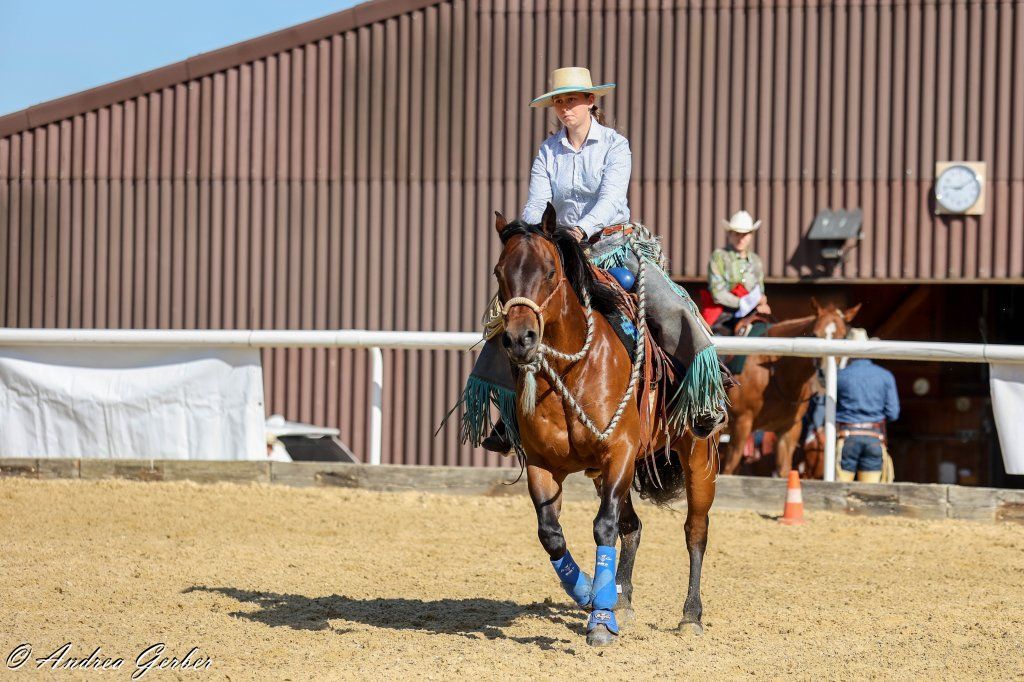 Swiss Ranch Horse Association - SRHA