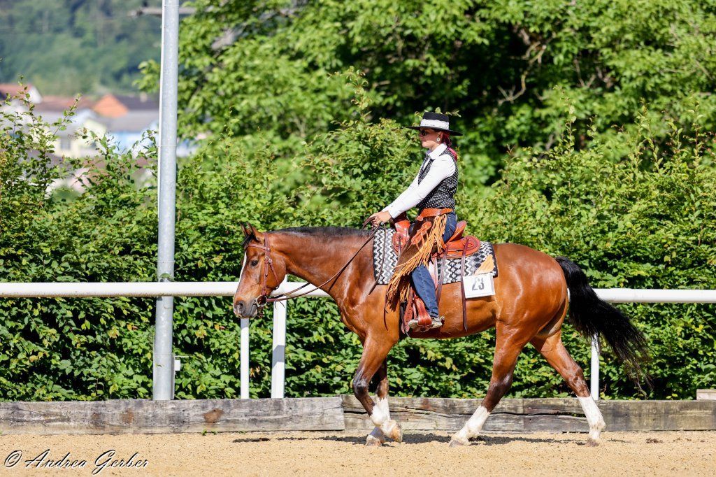 Swiss Ranch Horse Association - SRHA