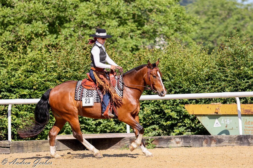 Swiss Ranch Horse Association - SRHA