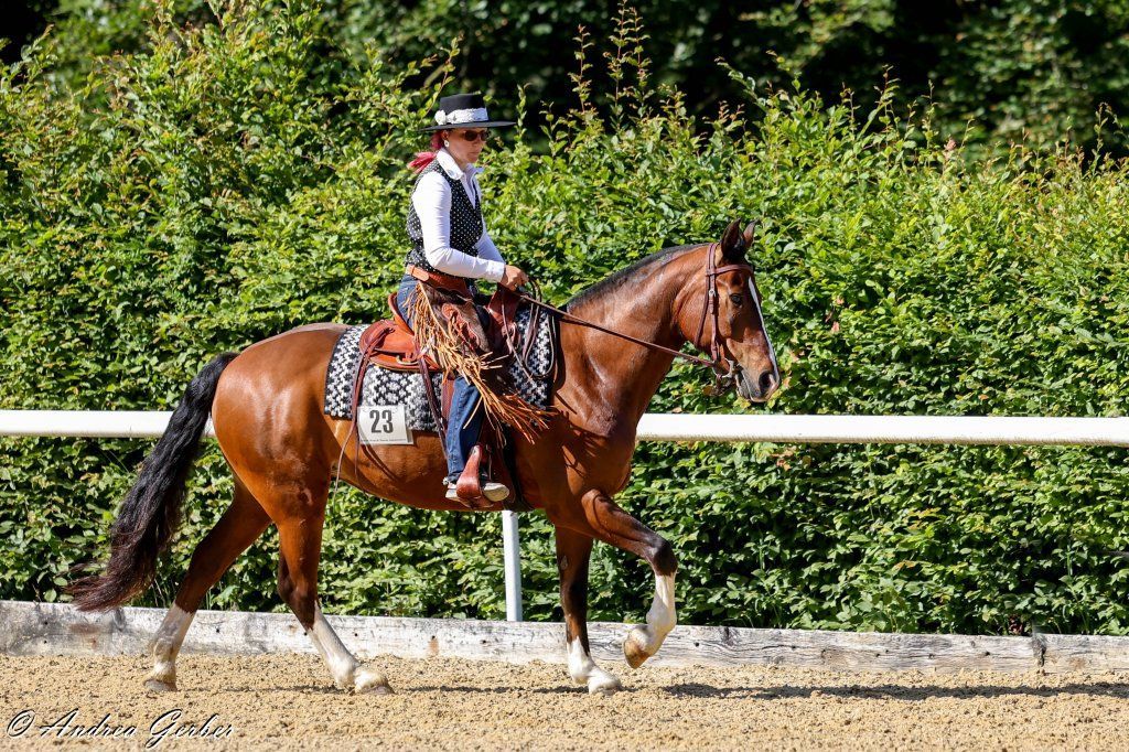 Swiss Ranch Horse Association - SRHA