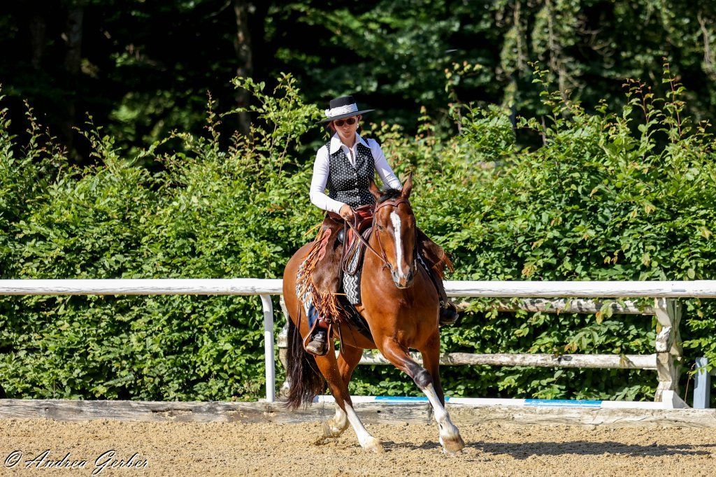 Swiss Ranch Horse Association - SRHA
