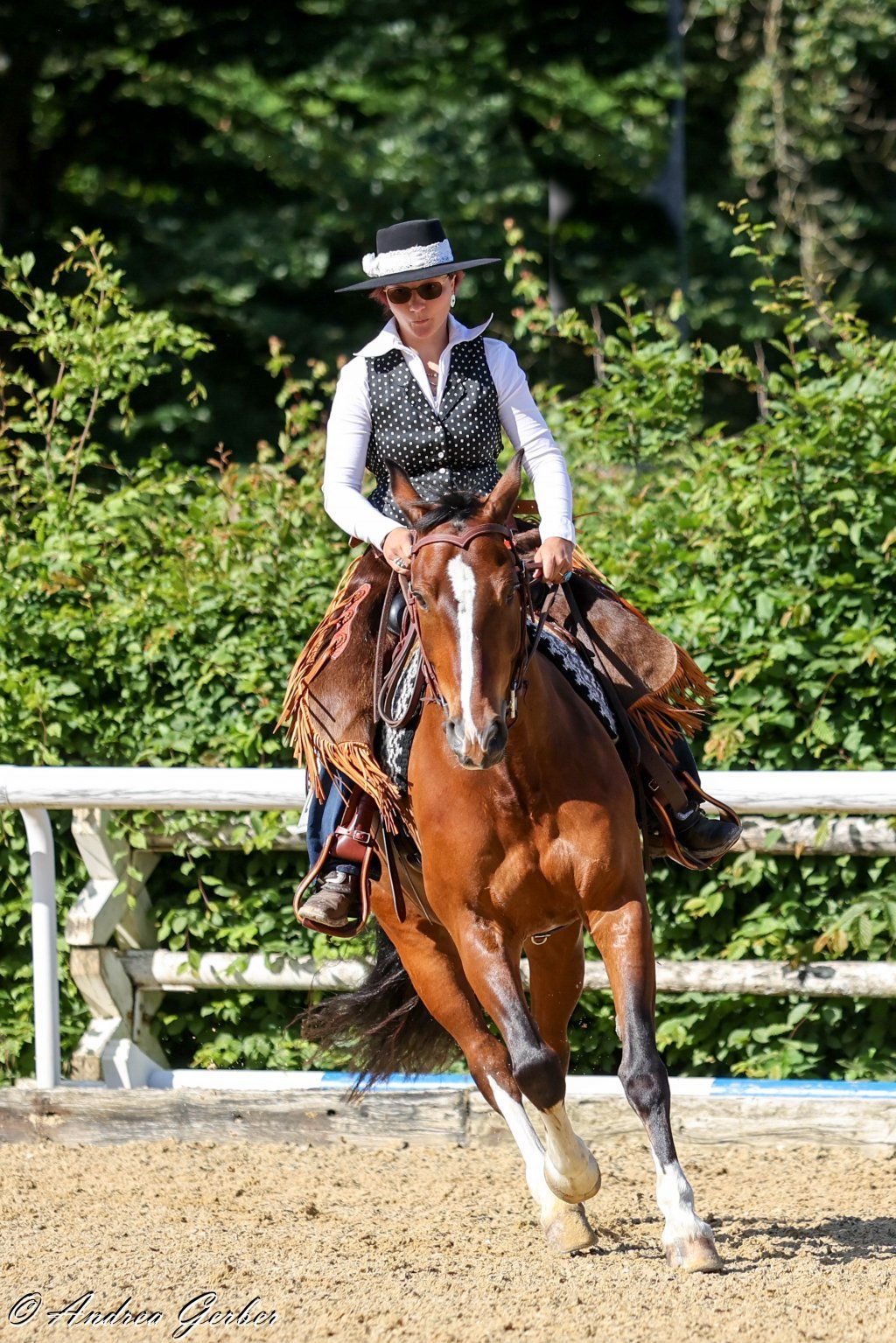 Swiss Ranch Horse Association - SRHA