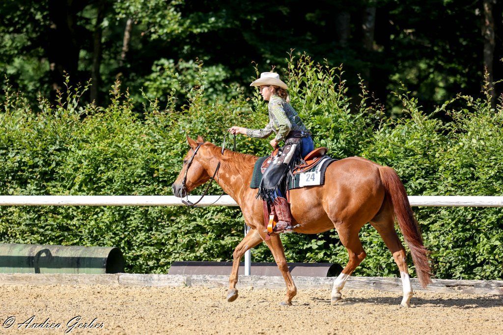 Swiss Ranch Horse Association - SRHA
