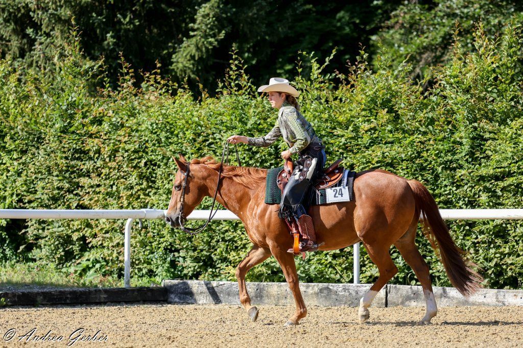 Swiss Ranch Horse Association - SRHA