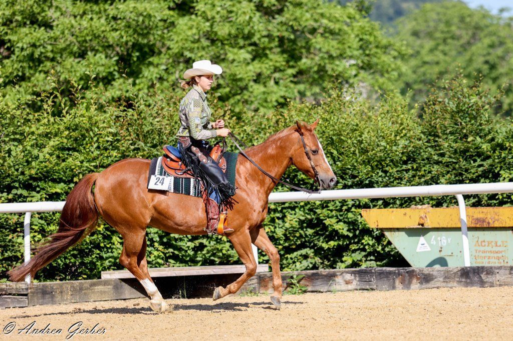 Swiss Ranch Horse Association - SRHA