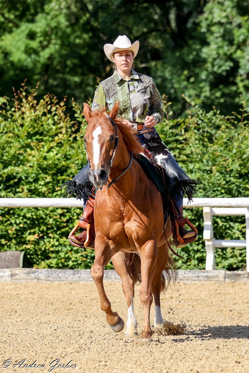 Swiss Ranch Horse Association - SRHA