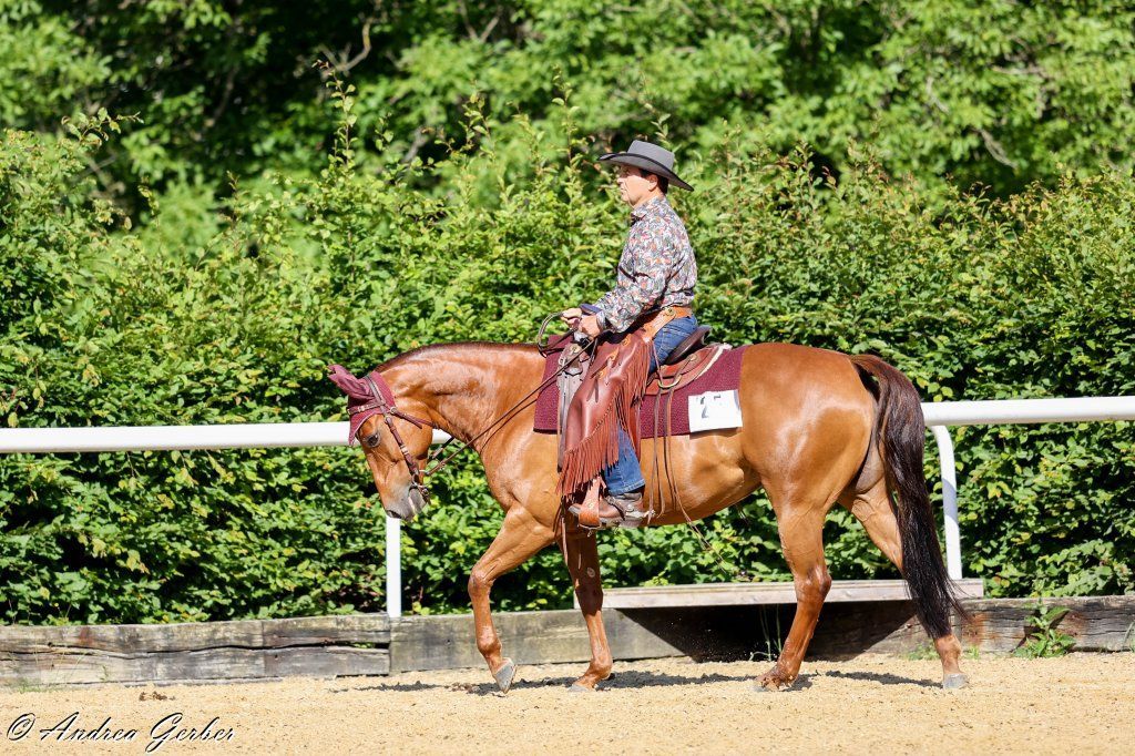 Swiss Ranch Horse Association - SRHA