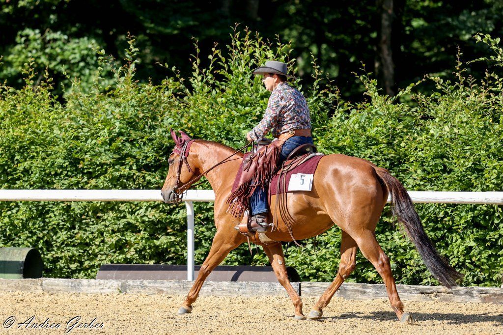 Swiss Ranch Horse Association - SRHA