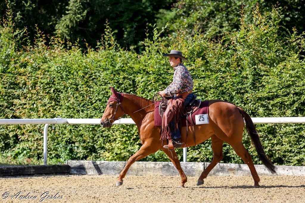 Swiss Ranch Horse Association - SRHA
