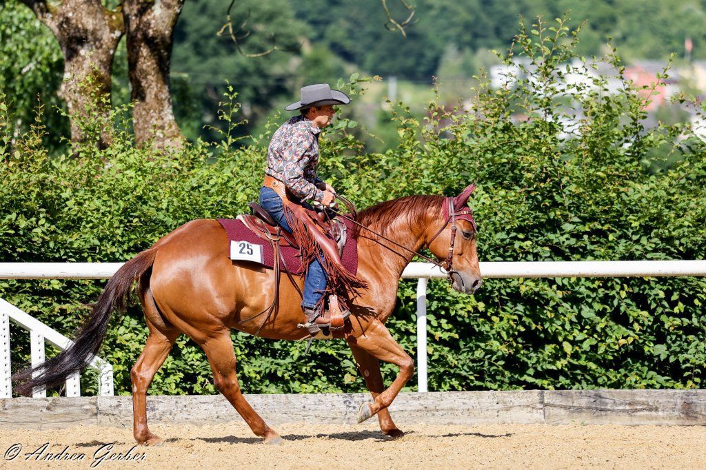 Swiss Ranch Horse Association - SRHA