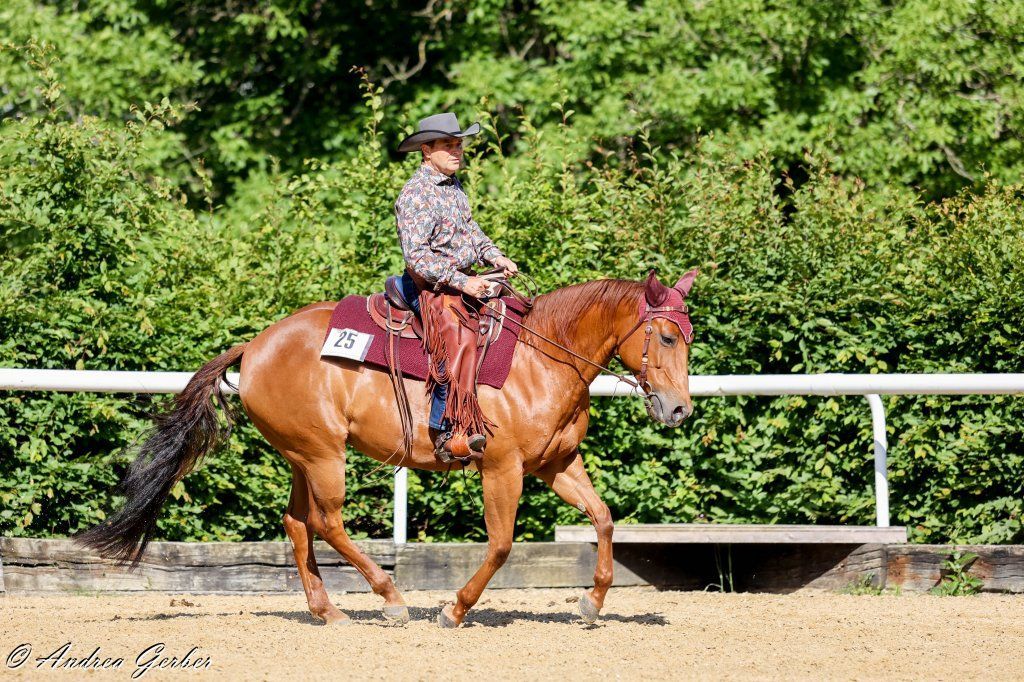 Swiss Ranch Horse Association - SRHA