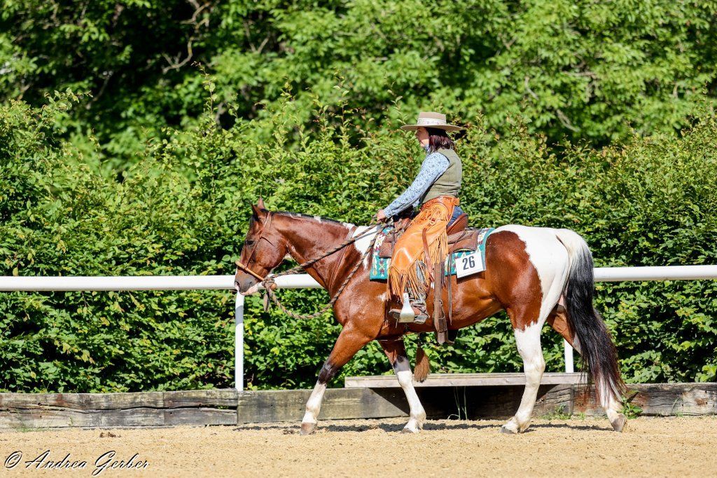 Swiss Ranch Horse Association - SRHA