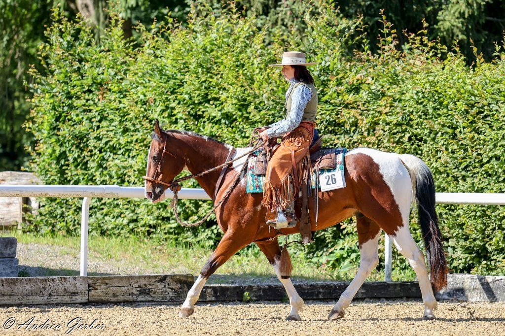 Swiss Ranch Horse Association - SRHA