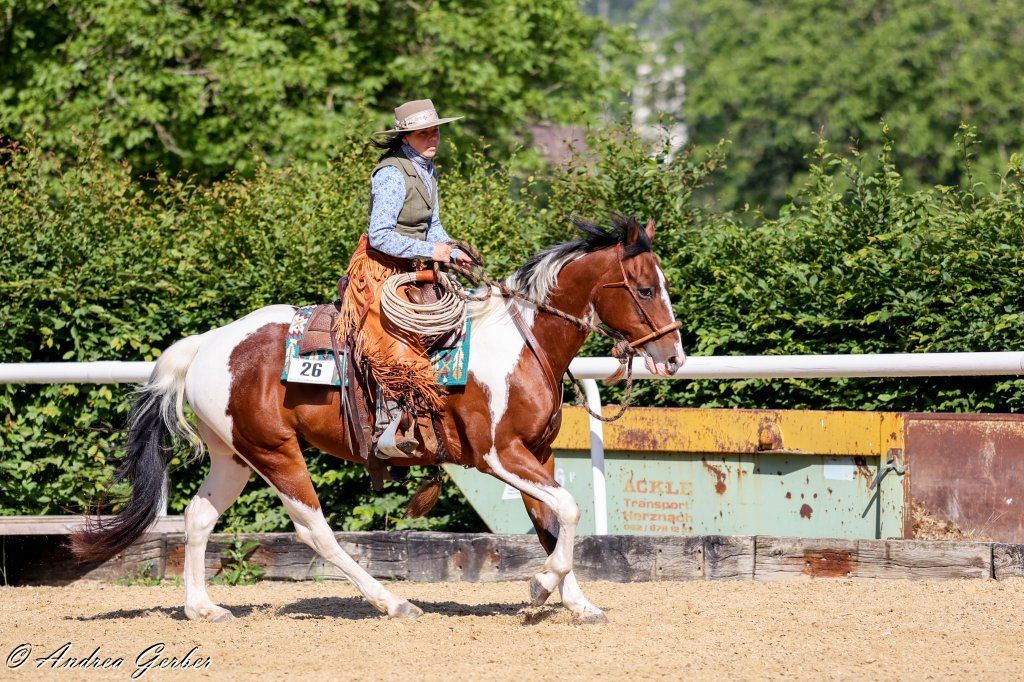 Swiss Ranch Horse Association - SRHA