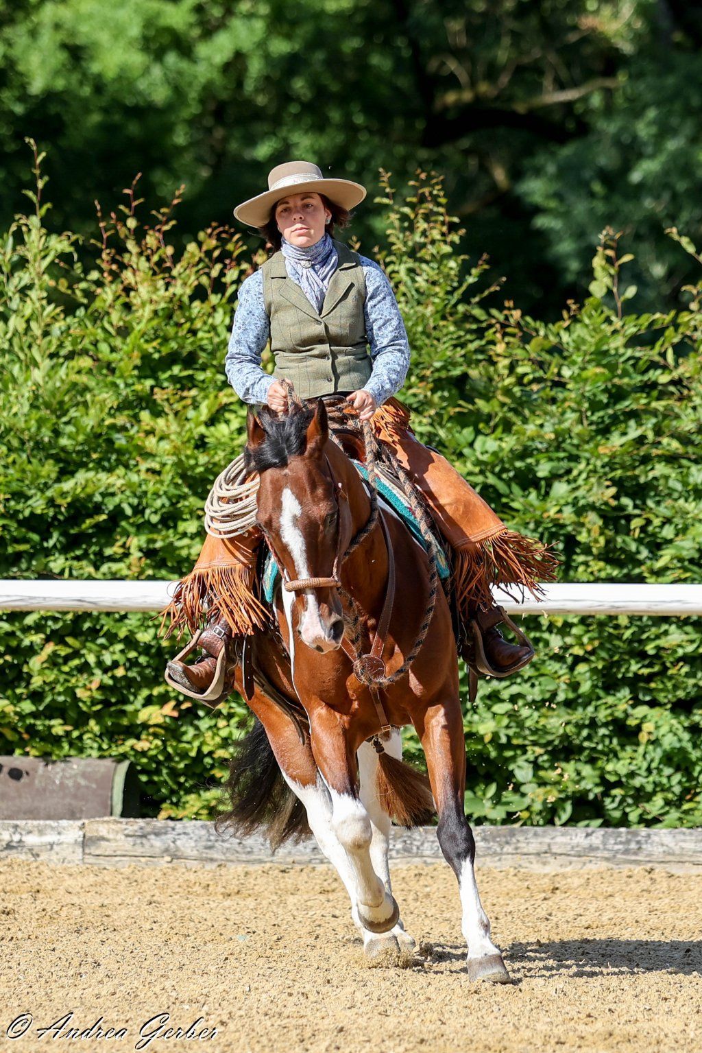 Swiss Ranch Horse Association - SRHA