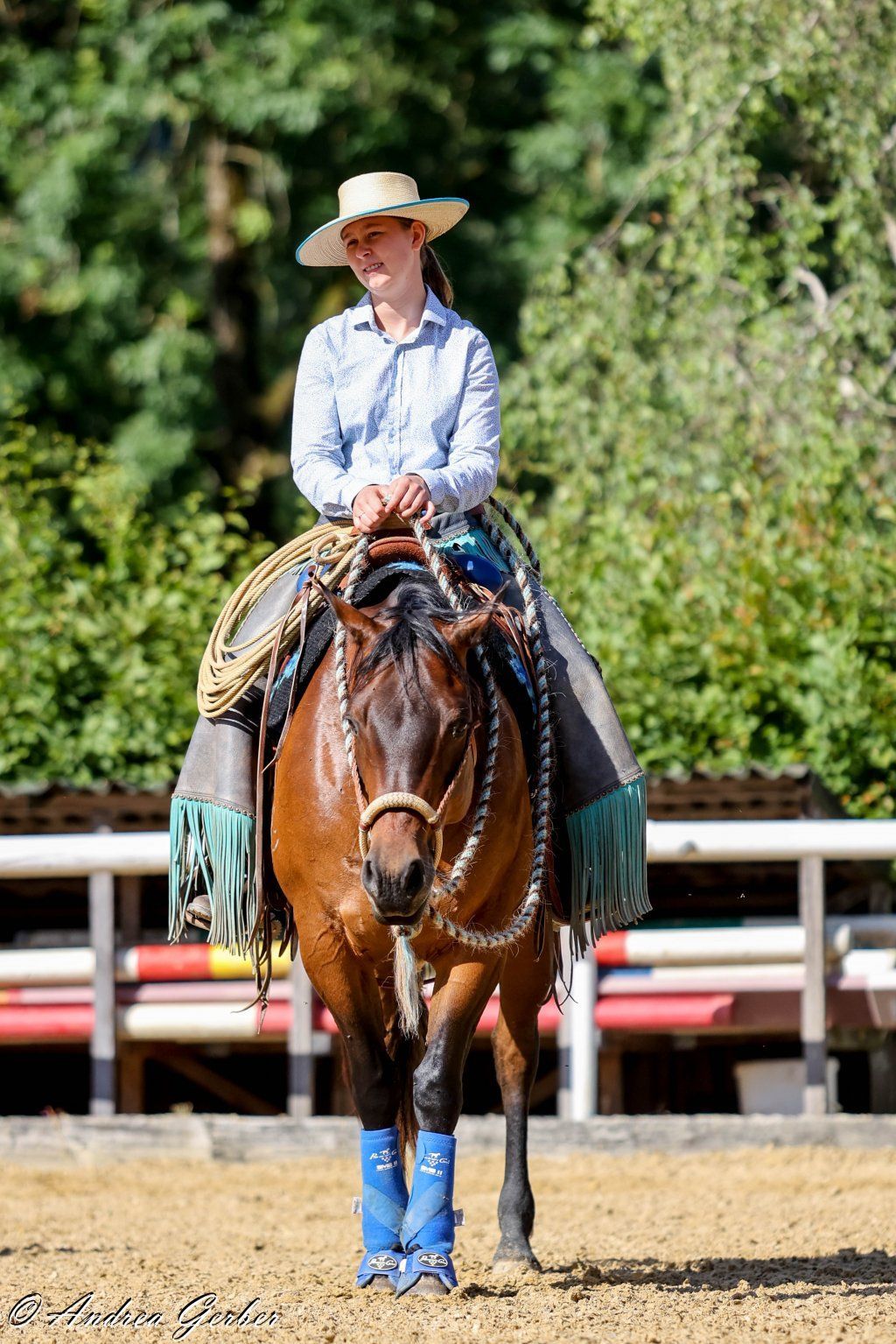 Swiss Ranch Horse Association - SRHA