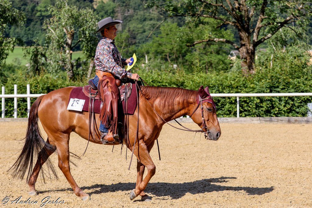 Swiss Ranch Horse Association - SRHA