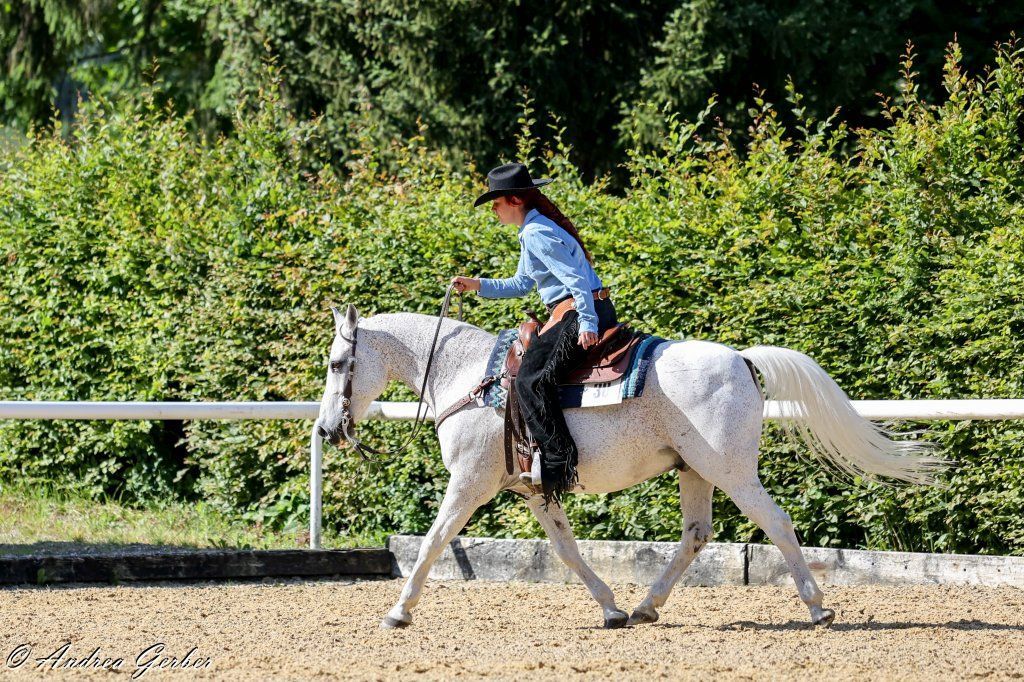 Swiss Ranch Horse Association - SRHA