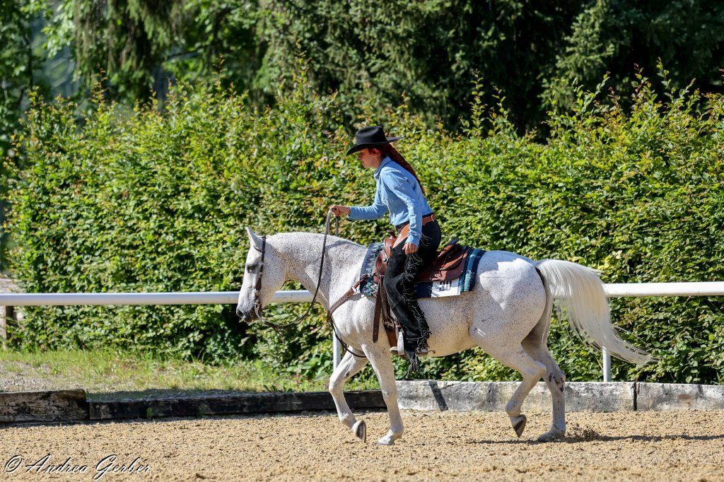 Swiss Ranch Horse Association - SRHA
