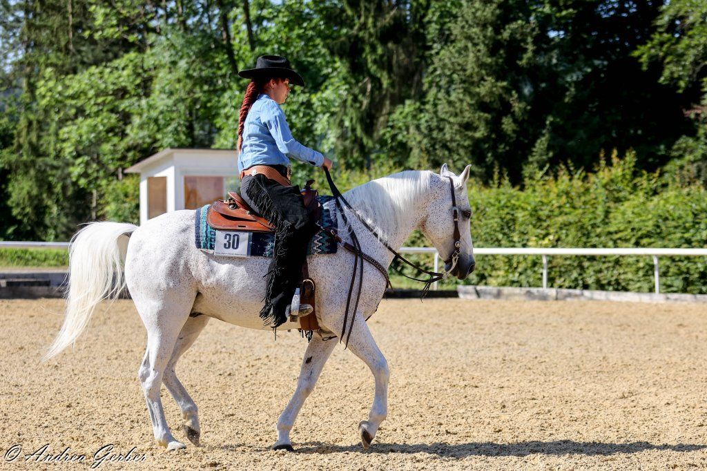 Swiss Ranch Horse Association - SRHA