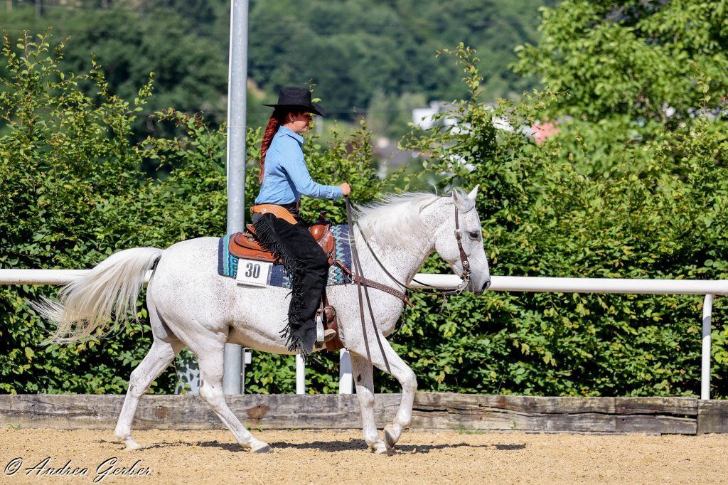 Swiss Ranch Horse Association - SRHA