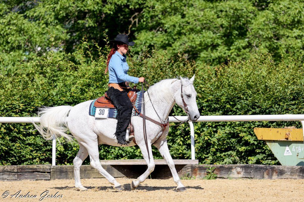 Swiss Ranch Horse Association - SRHA