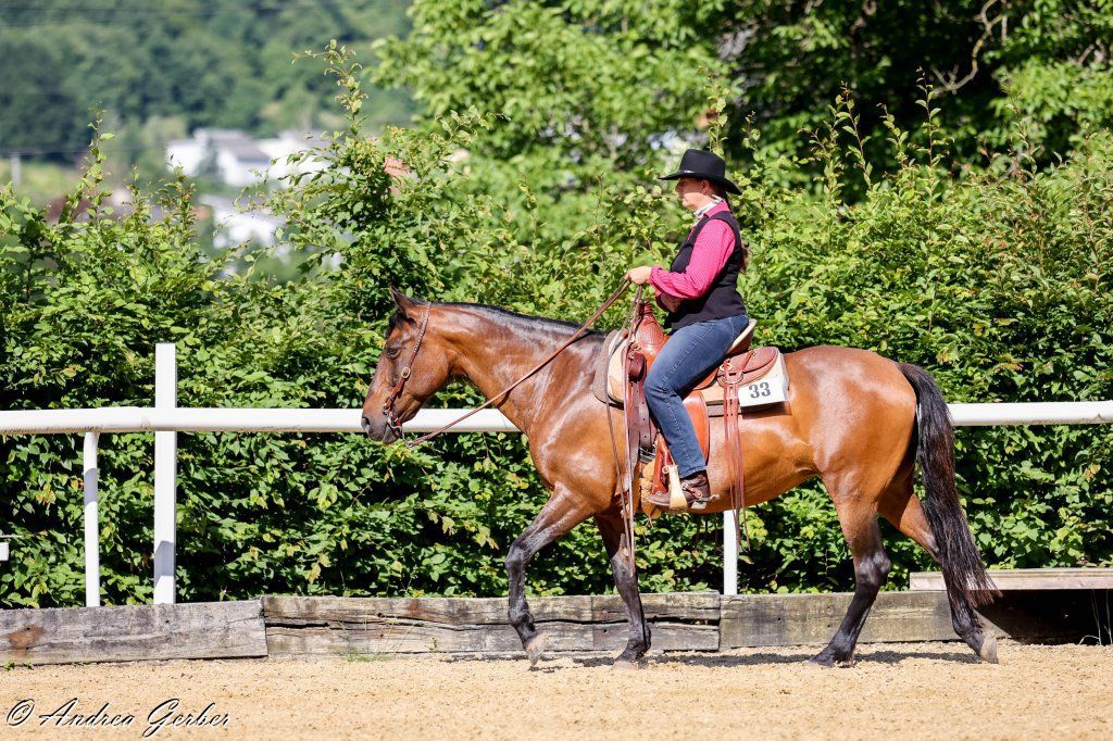 Swiss Ranch Horse Association - SRHA